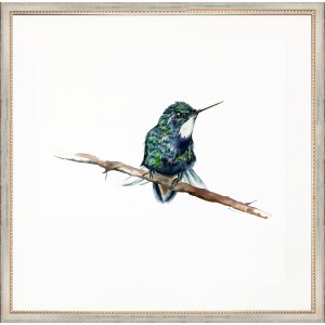 CD- HUMMINGBIRD 2